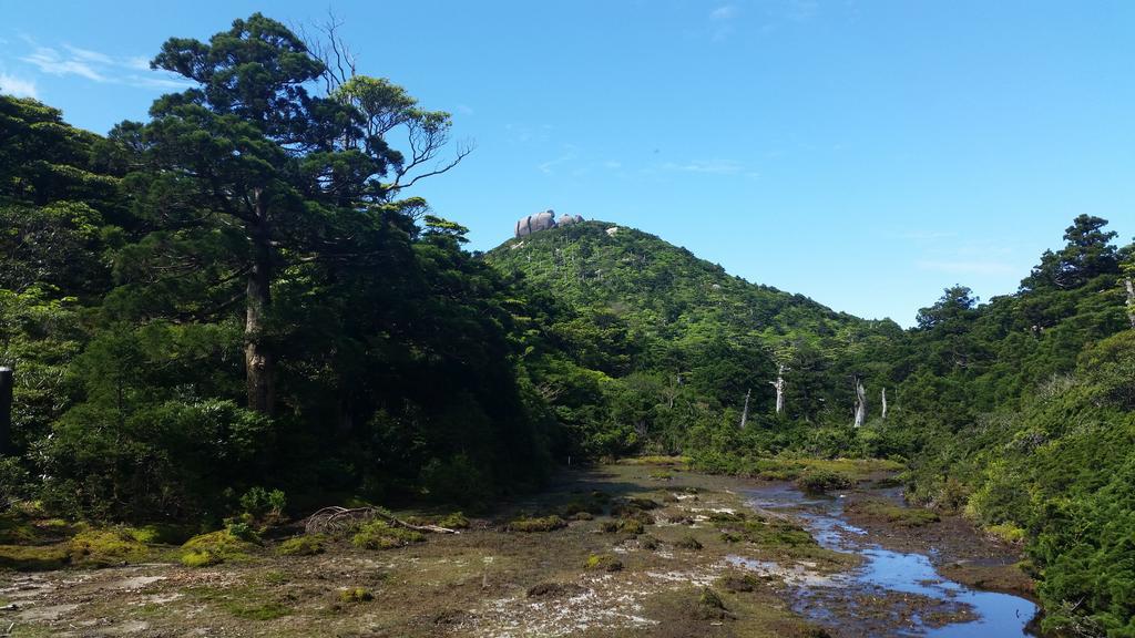 屋久岛町 屋久岛雅旅馆酒店 外观 照片