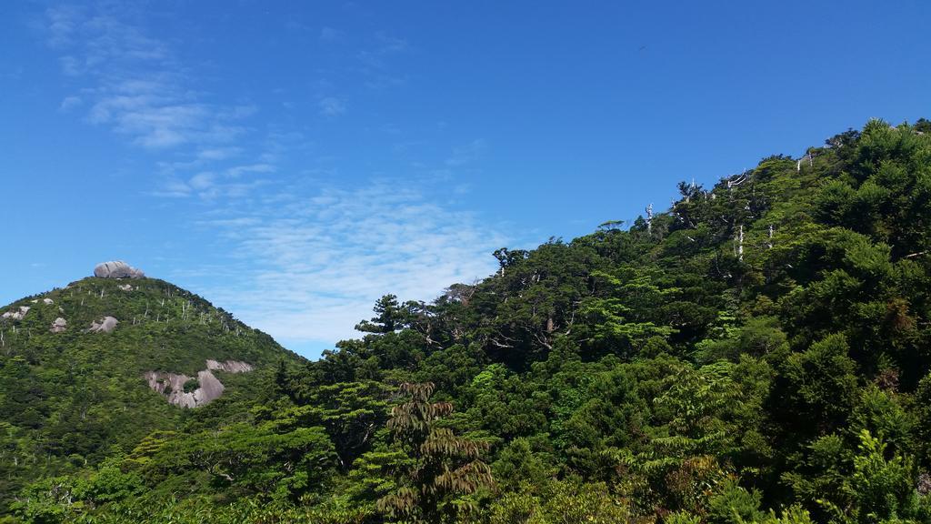 屋久岛町 屋久岛雅旅馆酒店 外观 照片